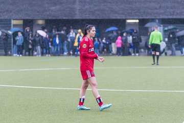 Bild 243 - wBJ Alstertal-Langenhorn - Hamburger SV : Ergebnis: 0:3